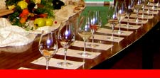 Weinseminare und Weinberatung